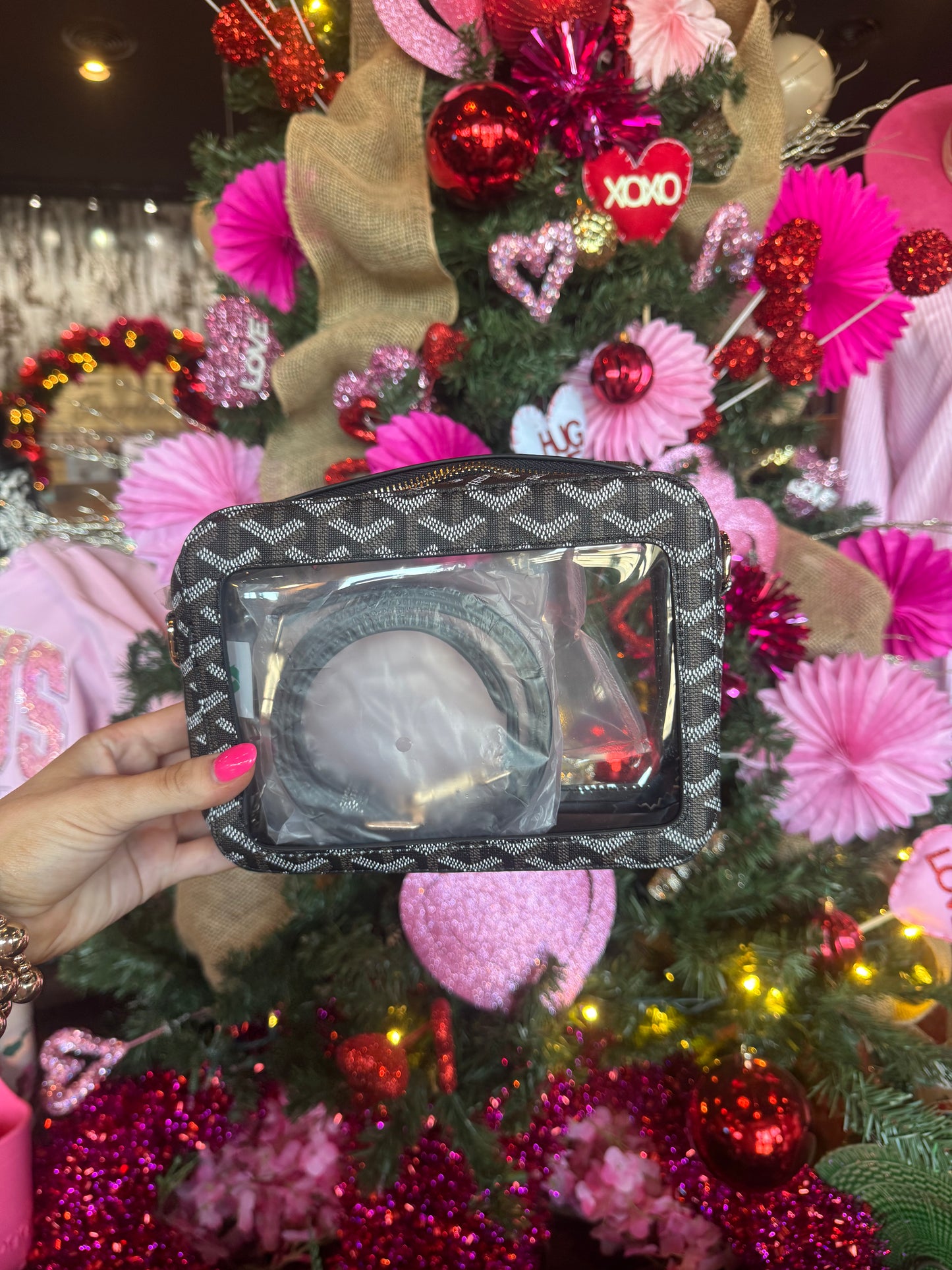 The Janette Clear Bag