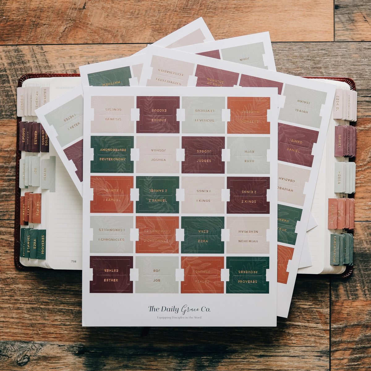 The Daily Grace Co Jewel Tone Bible Tabs